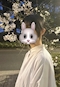 プロフィール写真3・のあ|GIRL'S BAR LUKA 井荻店・ルカ - 井荻のガールズバー