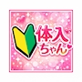 体入ちゃん
