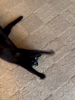 りん