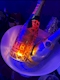 プロフィール写真11・みく|SHISHA・シーシャ - 千葉・富士見町のガールズバー