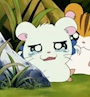 chiko