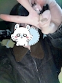 chiko