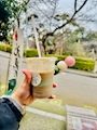 新着ブログ 兼六園で飲んだほうじ茶ラテ
