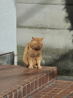 ミナ 荻窪 スナック・シャレード