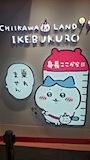 chiko