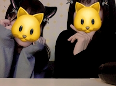 きこにゃん😻「IKEA🇸🇪🐻」