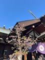 新着ブログ ⛩️🪽