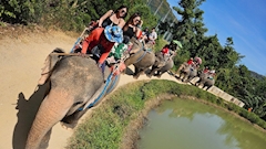 Haruka「お久しぶりです🐥」