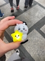 chiko