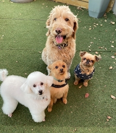 プロフィール写真3・かりん｜WISTERIA・ウィステリア - 歌舞伎町のクラブ/ラウンジ