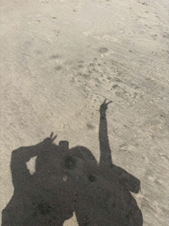 めい「🏝️」