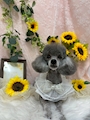 chiko