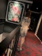 プロフィール写真4・みずき｜FLOWER・フラワー - 都城のキャバクラ