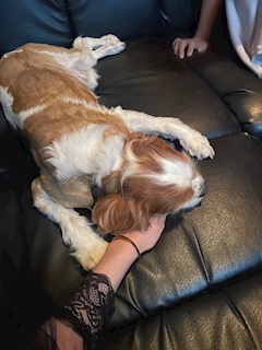 妃陽「🐶🐾♡♡♡」