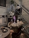 プロフィール写真4・れいか|GIRLS LOUNGE FACE・フェイス - 名古屋 錦のガールズバー