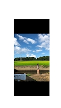 ピックアップキャスト なつき クラブ蘭・ラン - 古河・東口のキャバクラ