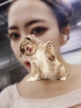 chiko
