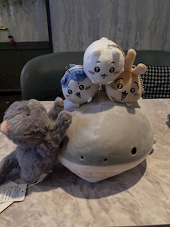 嬉野　みつき「こんばんわわわわわわわわわわわわわわわわわわ」