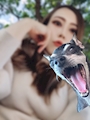chiko