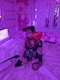 プロフィール写真1・ちな|TWINKLE Next Stage・ティンクル ネクストステージ - 浜松のガールズバー