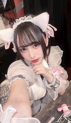 プロフィール写真11・ゆゆ｜猫耳コンカフェ C4・シーフォー - 名古屋 金山のコンカフェ