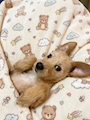 新着ブログ 今日は通常営業です☺️