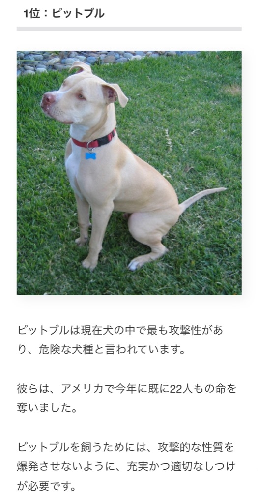 犬 やよママ New All ニューオール 川崎駅前のラウンジ パブ ポケパラ