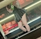 プロフィール写真21・ねね🐰🥕｜IMPEL DOWN Level32・インペルダウン - 名古屋 錦のガールズバー