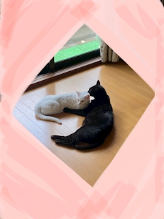あい「(o^^o)！！」