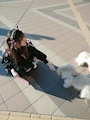 chiko