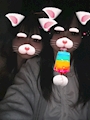 chiko