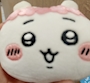 新着ブログ 涼し