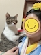 プロフィール写真2・綾瀬はるか(本物)｜パブスナック黒美人・クロビジン - 古河・東口のパブ/スナック
