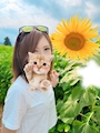 みさき