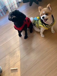 プロフィール写真23・北川 あずさ｜Salon・de・美花・サロン・ド・ビカ - 国分町のラウンジ