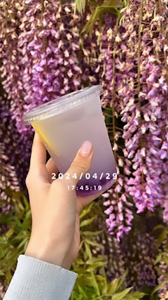 プロフィール写真1・ちはる｜Girl's Bar ZERO ONE・ゼロワン - 曳舟のガールズバー