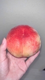 新着ブログ もも!モモ!桃!🍑