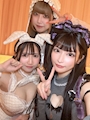 新着ブログ な～たんブログ໒꒱