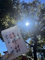 新着ブログ 一粒万倍日🌾🌾🌾
