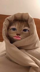 りあのプロフ動画