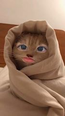 りあのプロフ動画