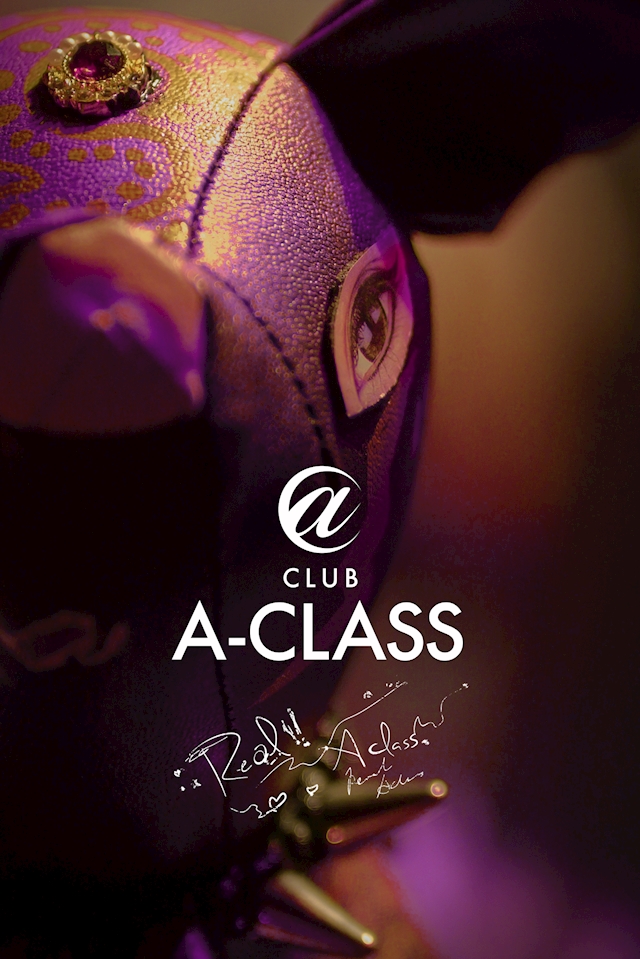 プロフィール写真1・さき|