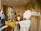 プロフィール写真1・ゆき|StylishClub SALON・スタイリッシュクラブ サロン - 三島のキャバクラ