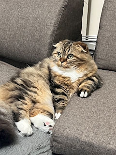 プロフィール写真1・れい｜StylishClub SALON・スタイリッシュクラブ サロン - 三島のキャバクラ