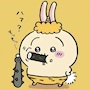 chiko