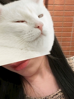 プロフィール写真2・せり｜club 絆・キズナ - 川崎駅前のキャバクラ