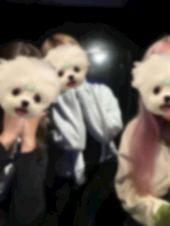 あや「💖𖭲兯𖭲兯(⸝⸝◜𖥦◝⸝⸝)💕💭」