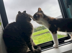 プロフィール写真1・はるな｜StylishClub SALON・スタイリッシュクラブ サロン - 三島のキャバクラ