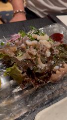 新着ブログ サンナクチ🐙🐙🐙