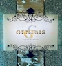 GENESIS男子スタッフ